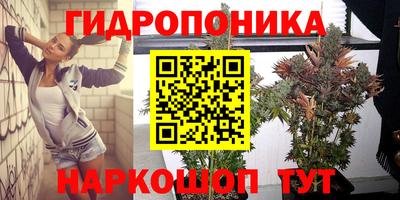 хмурый Новокубанск
