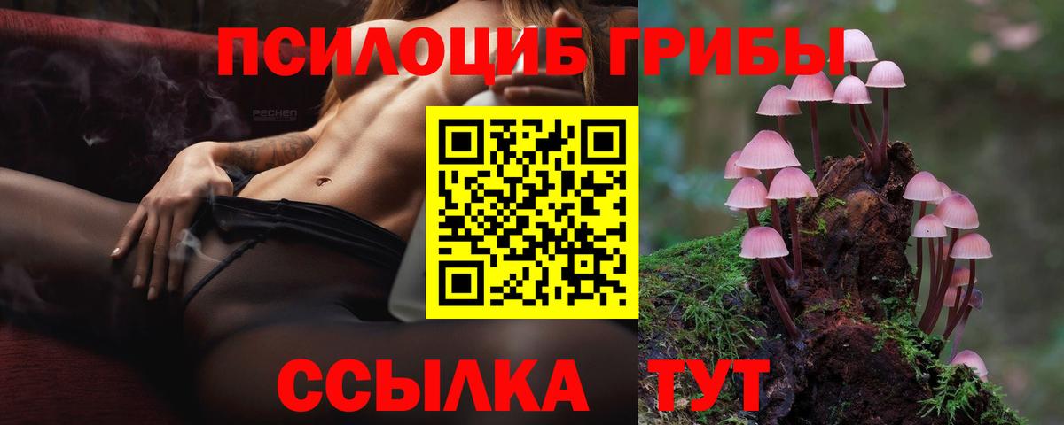 Галлюциногенные грибы GOLDEN TEACHER  Псилоцибиновые грибы Psilocybe  Вход с VPN  Липецк 
